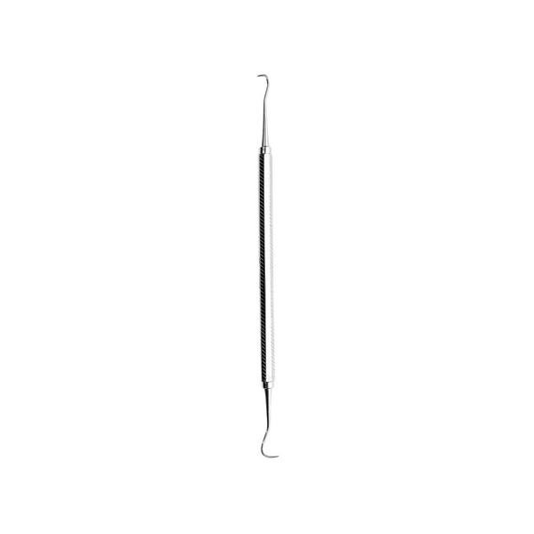 Text