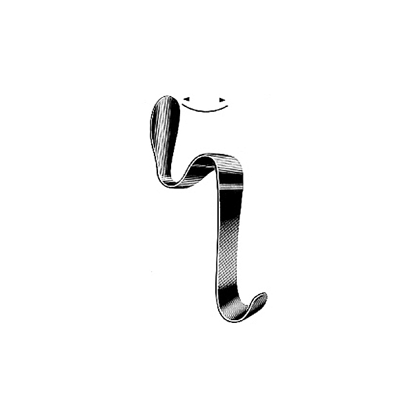 Text